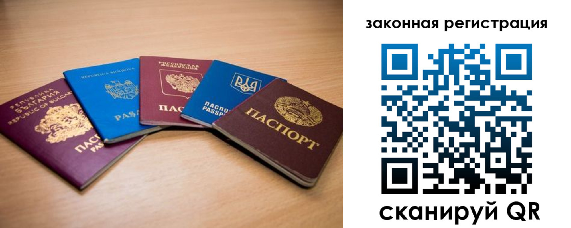 прописка в квартире в Ермолино